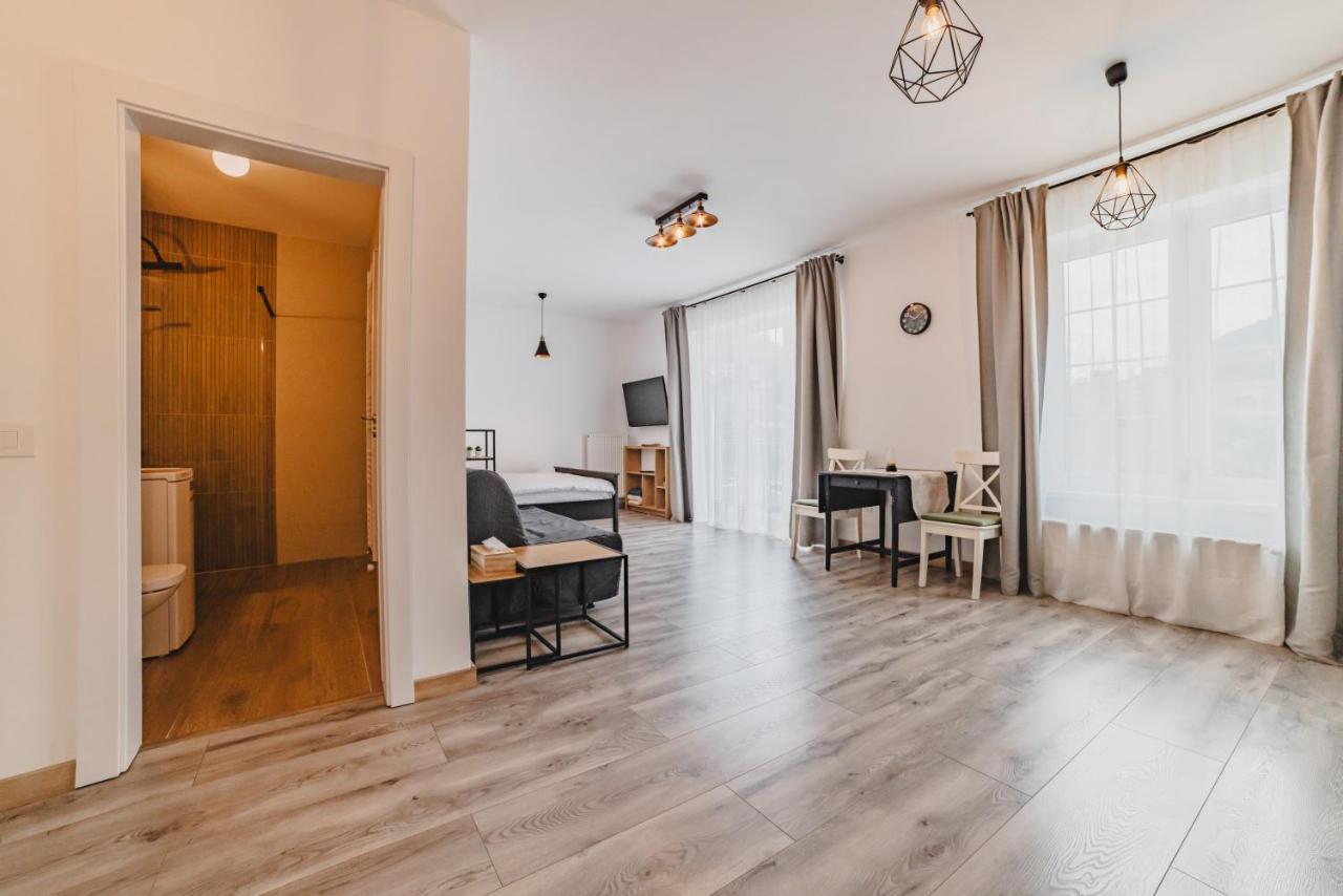 Schiller Studio 64 - Free Private Parking Braşov Eksteriør bilde